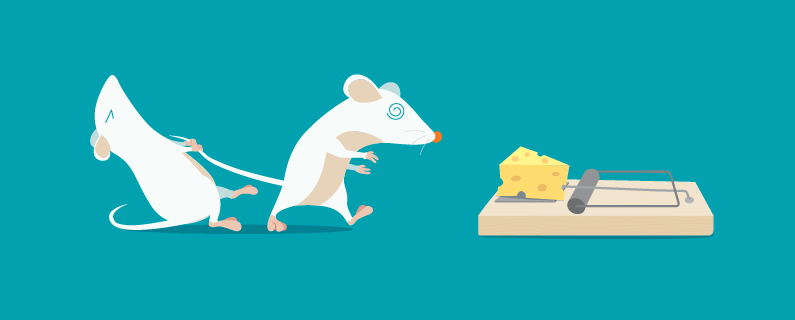 mousetrap