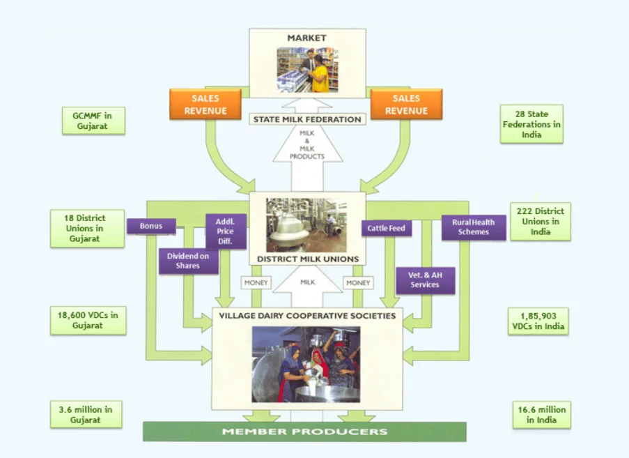case study on marketing strategy of amul amul marketing strategy - business model
